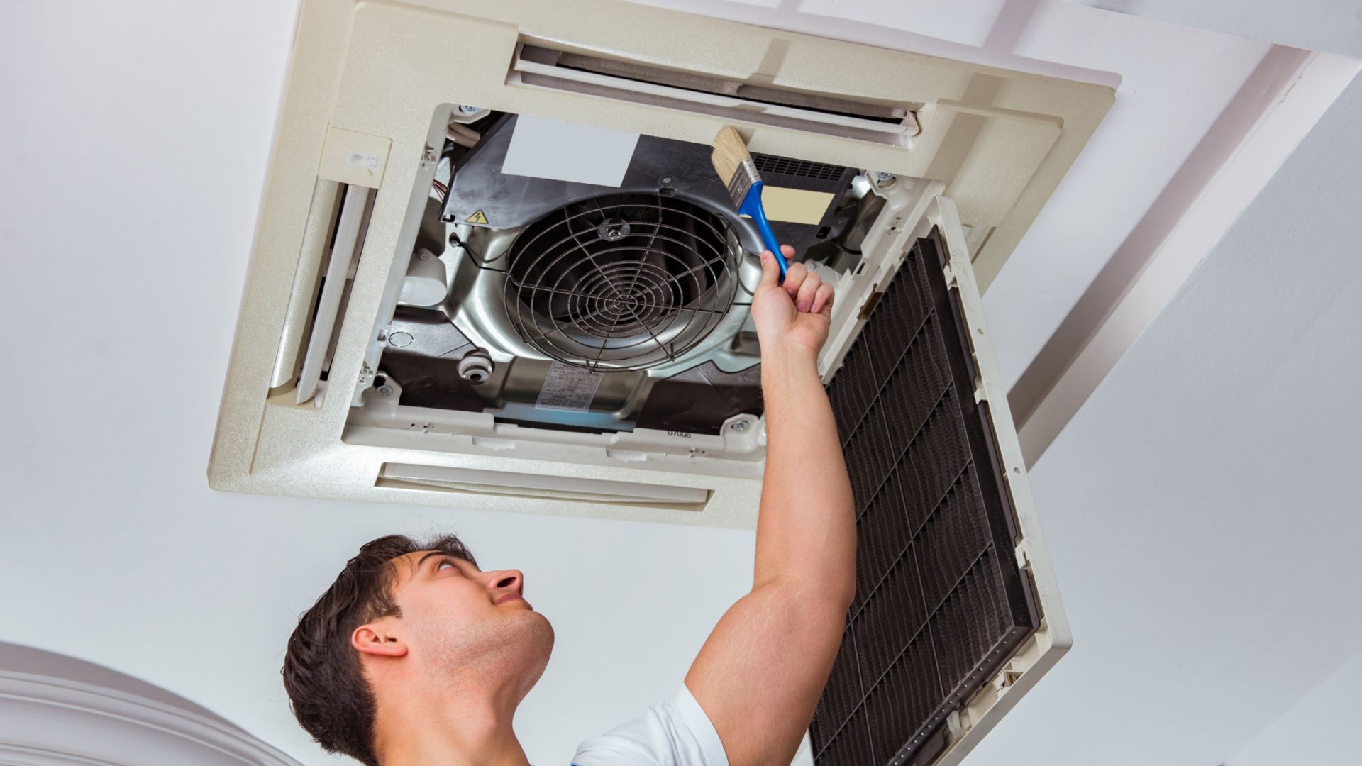 xr:d:daf 2d ltcy:26,j:1128573762337602729,t:24031811